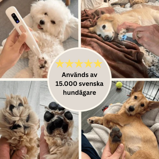 HiPaw | Smärtfri tassvård på några sekunder